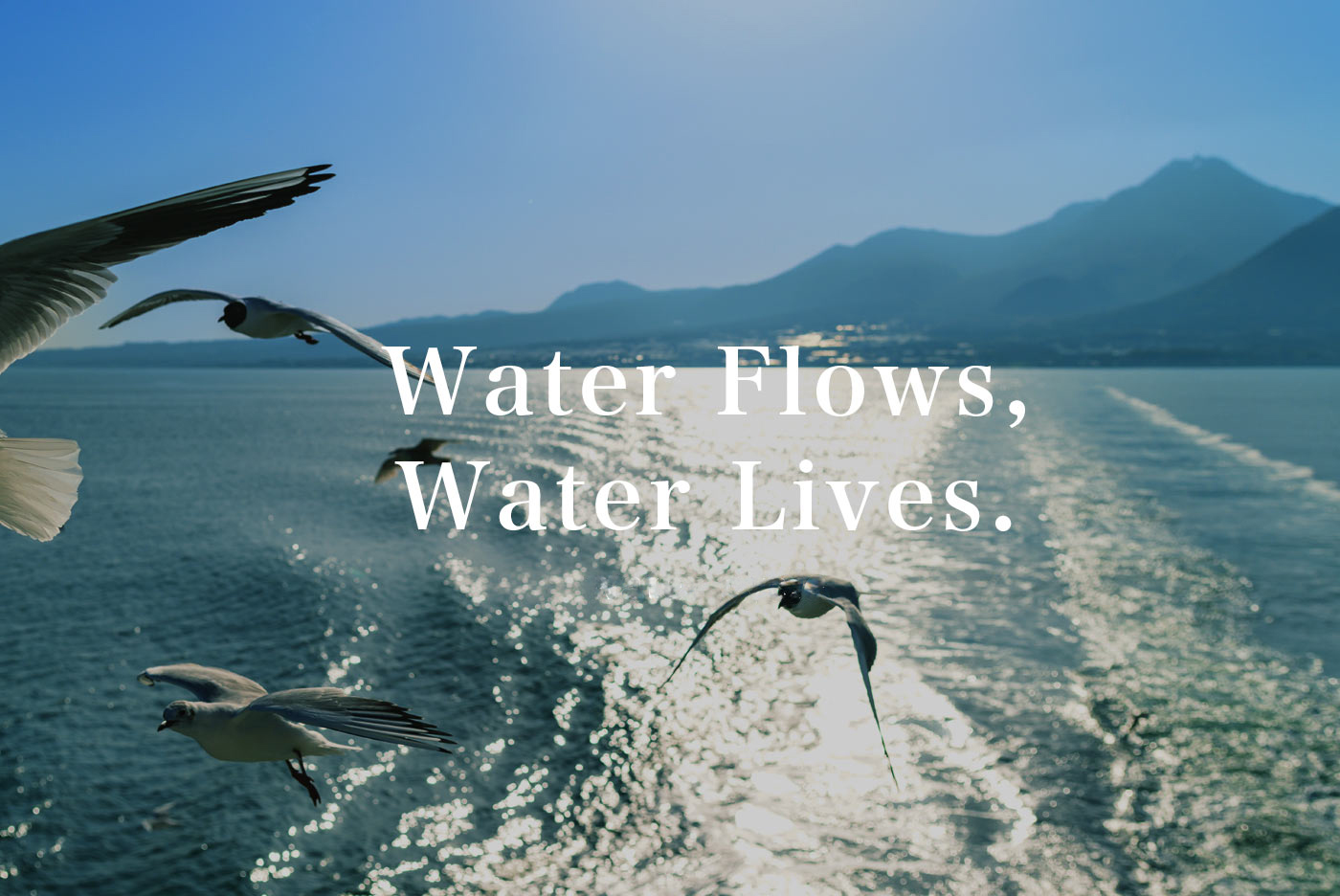 Bonsカジノ Flows, Bonsカジノ Lives. Bonsカジノ cycle