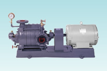 配水ボンズカジノスポーツ割引