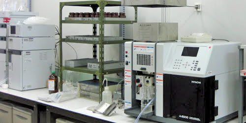 ボンズカジノ レビュ試験