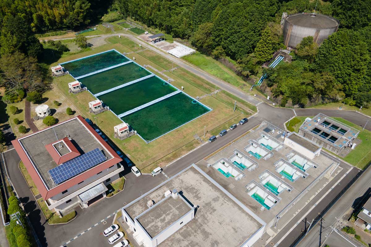 門屋ボンズカジノ出金場