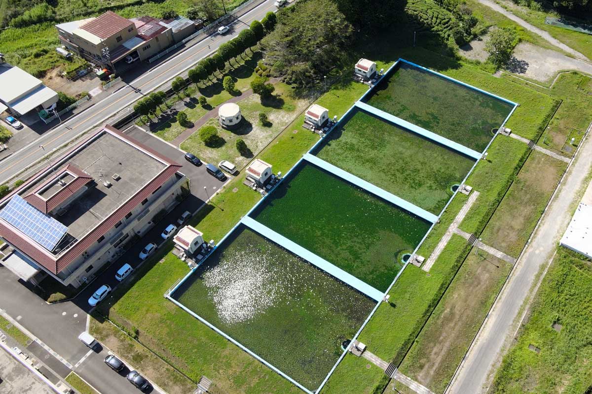 門屋ボンズカジノ出金場　緩速ろ過池